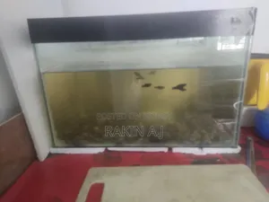 ব্যবহৃত অ্যাকোয়ারিয়াম বিক্রয়ের জন্য... মাছ, খাবার, ফিল্টার, হিটারসহ