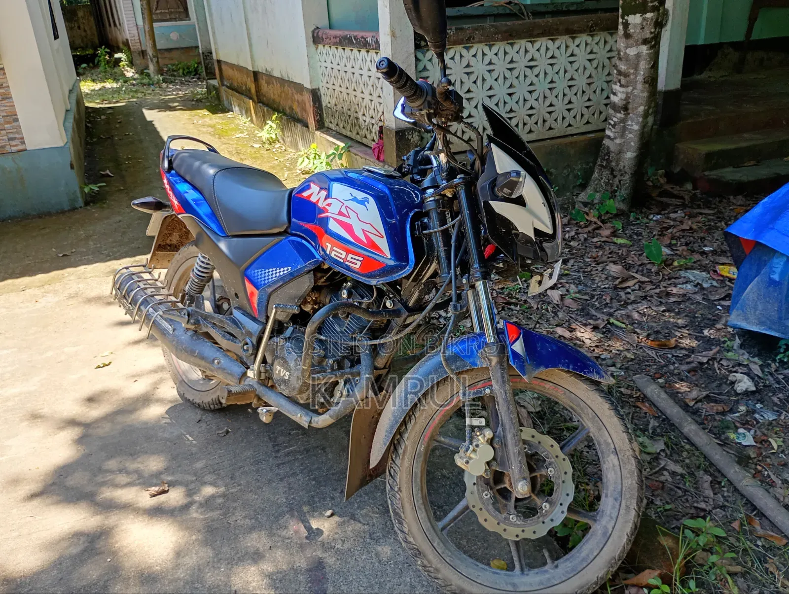 TVS Max 125 2026 Blue