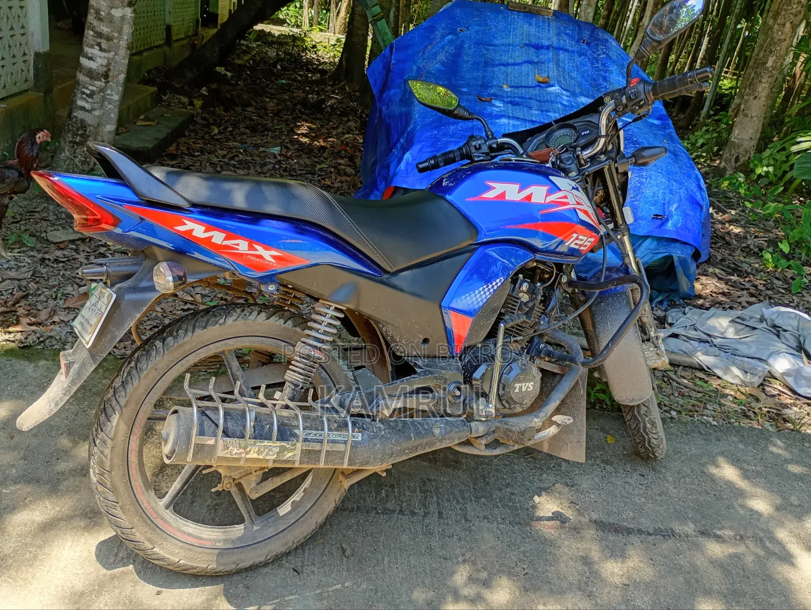 TVS Max 125 2026 Blue