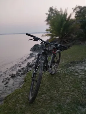 Gear Cycle Falcon Firebird