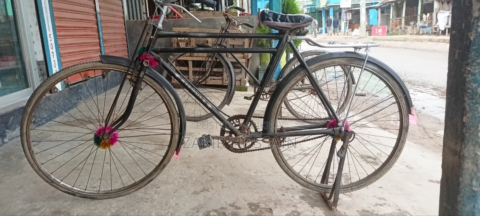 Phoenix Cycle