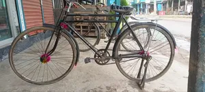 Phoenix Cycle