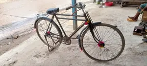 Phoenix Cycle