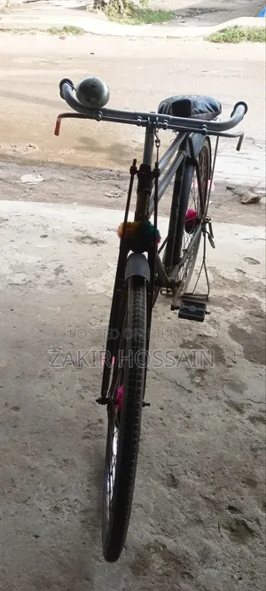 Phoenix Cycle