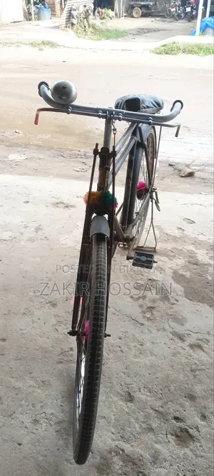 Phoenix Cycle