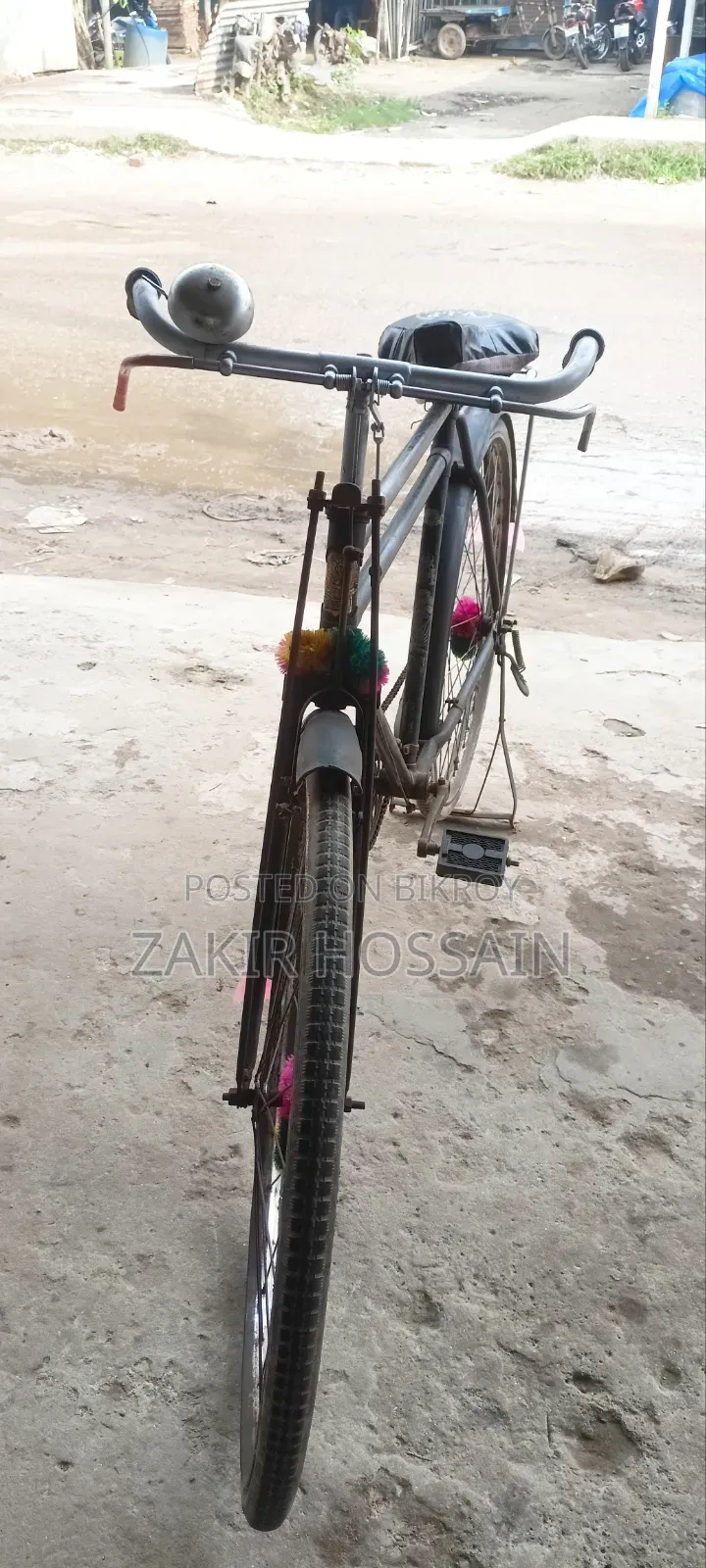 Phoenix Cycle