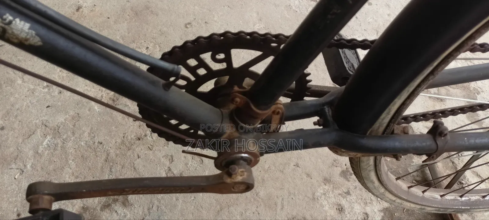 Phoenix Cycle
