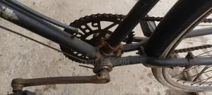 Phoenix Cycle