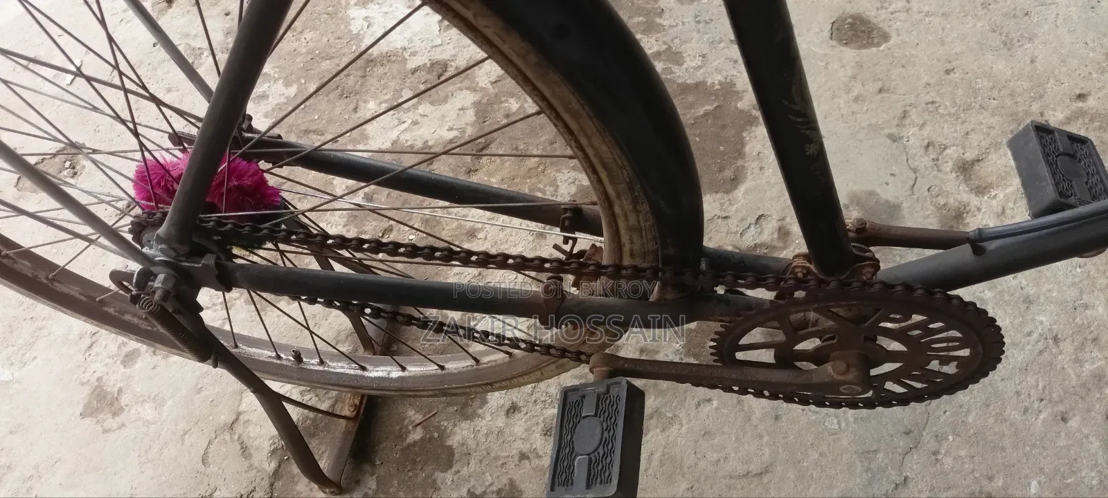 Phoenix Cycle