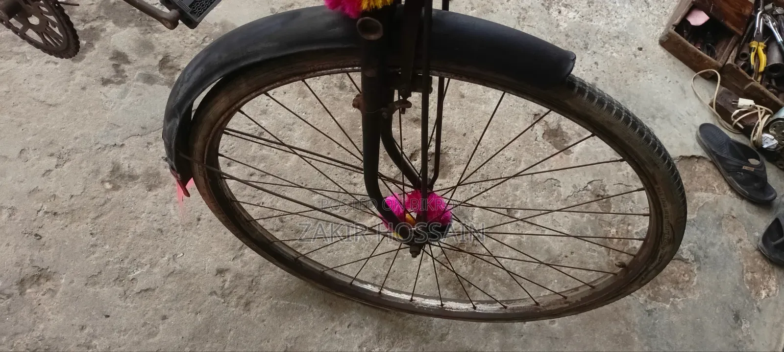 Phoenix Cycle