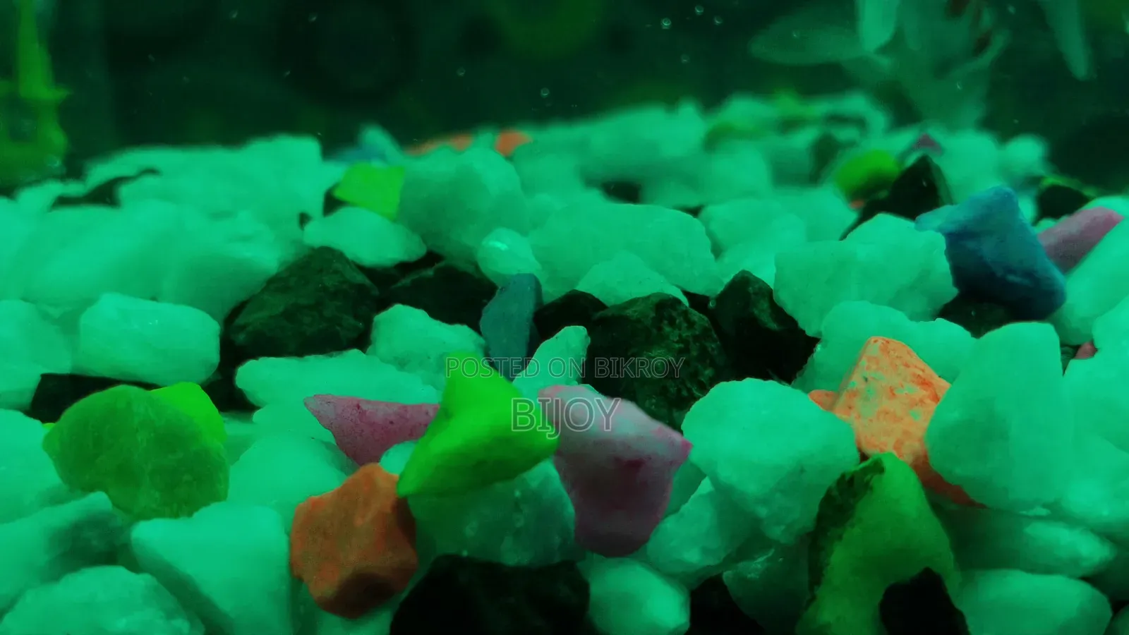 Acurium for Sell