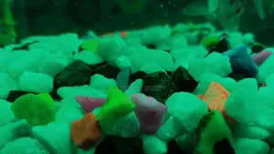 Acurium for Sell