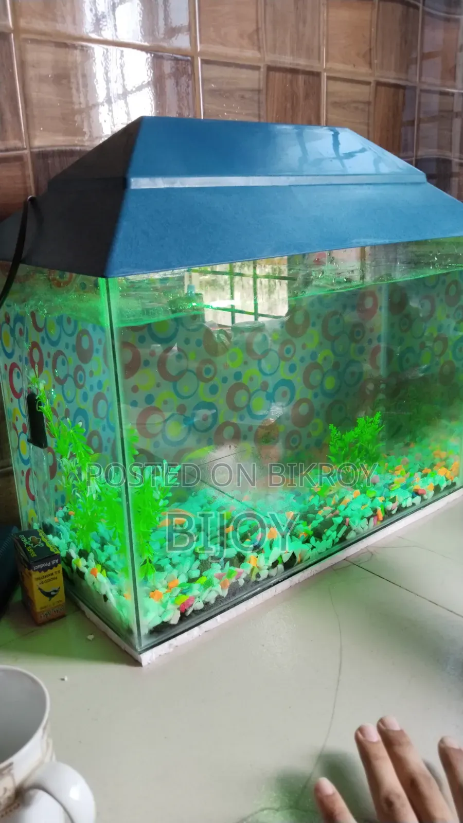 Acurium for Sell