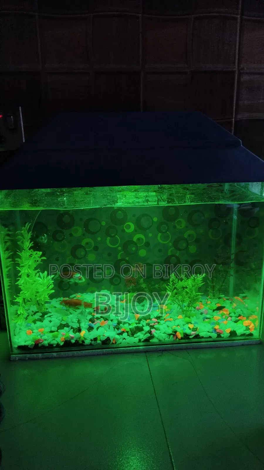Acurium for Sell