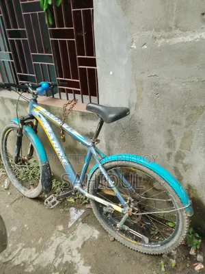 Old Bicycle Sale