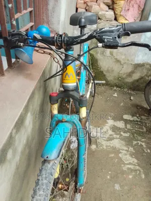 Old Bicycle Sale