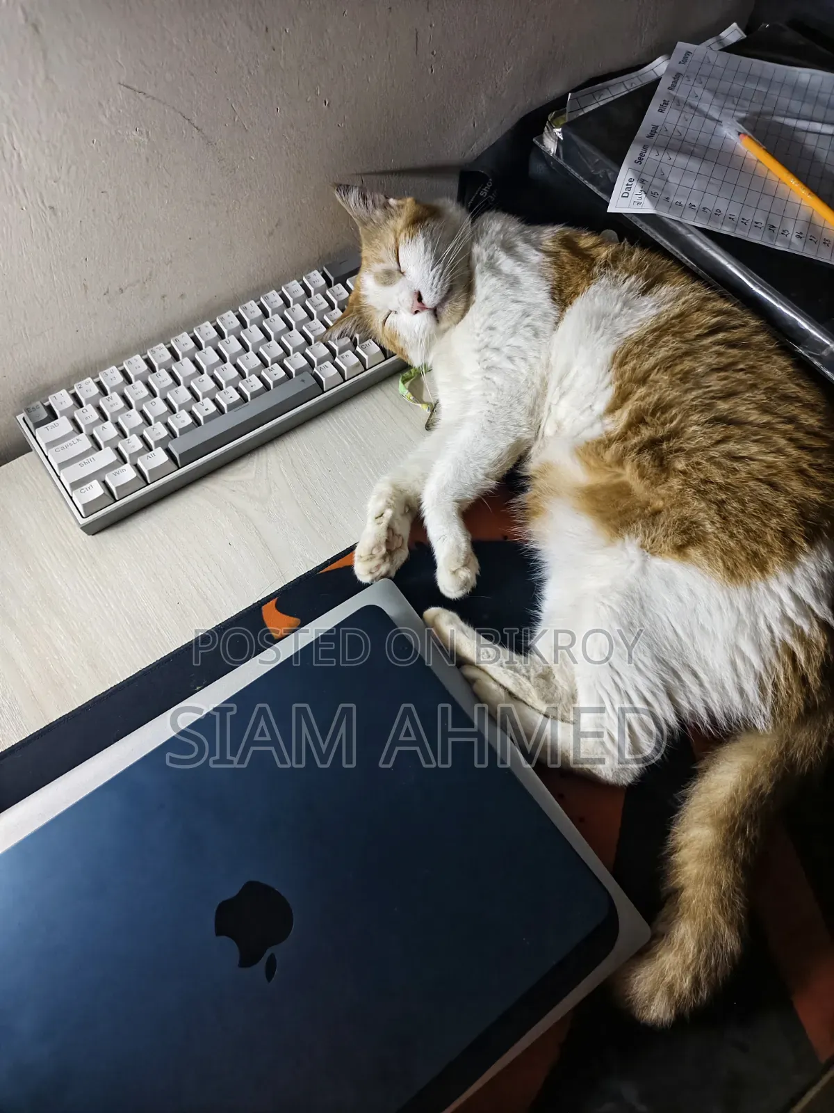 Laptop Apple MacBook Air 2023 M2 8GB Apple M2 SSD 256GB