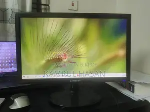 Computer Monitor