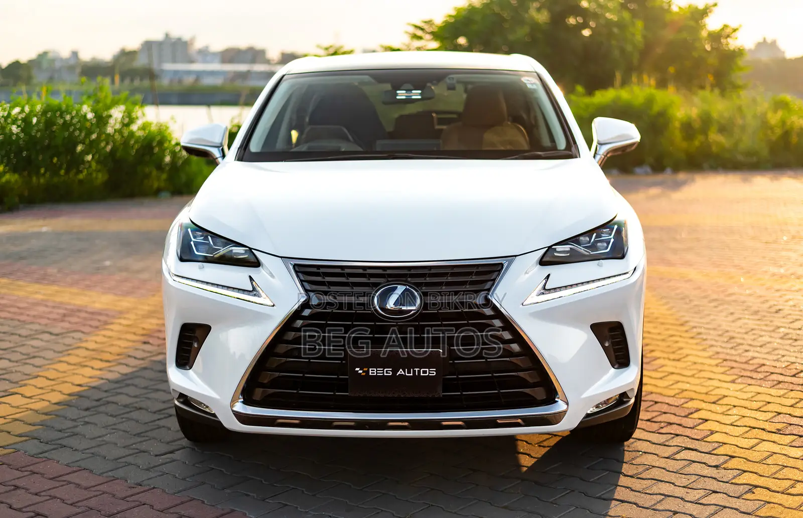 Lexus NX 300h Front-Wheel Drive 2019 White