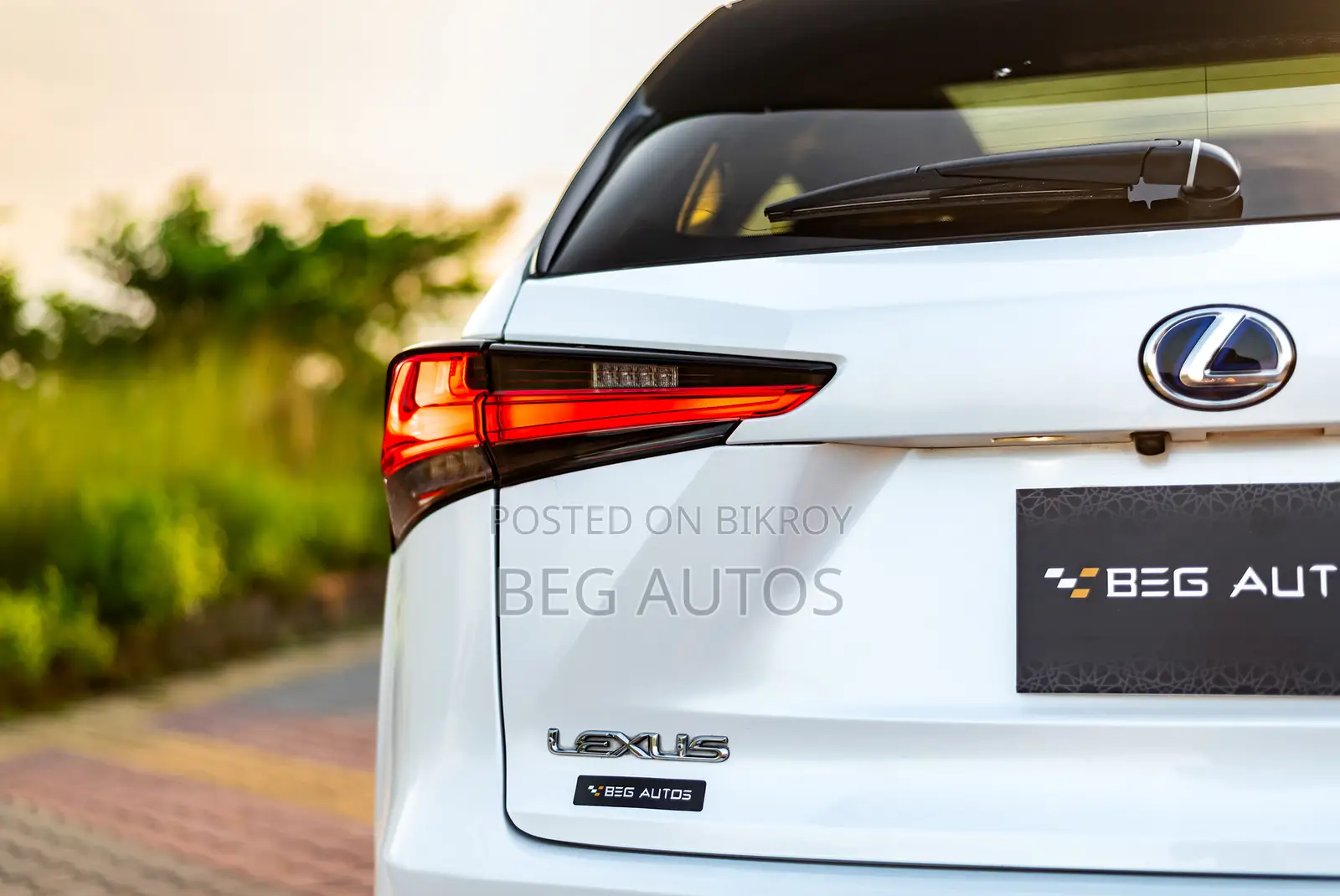 Lexus NX 300h Front-Wheel Drive 2019 White