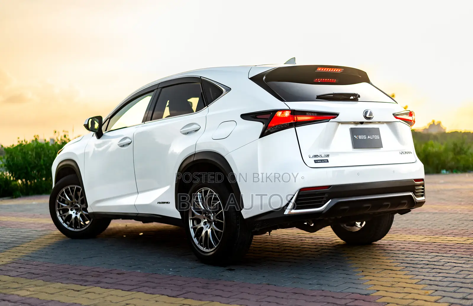 Lexus NX 300h Front-Wheel Drive 2019 White