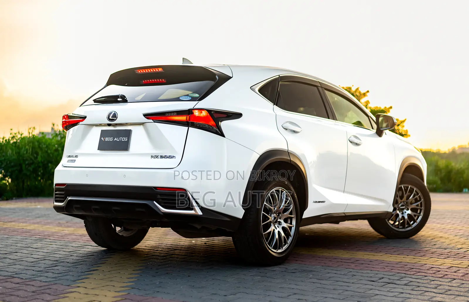 Lexus NX 300h Front-Wheel Drive 2019 White