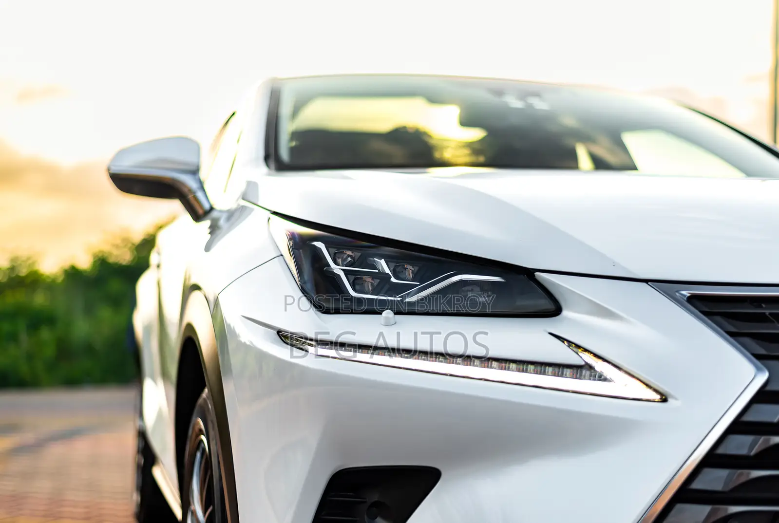Lexus NX 300h Front-Wheel Drive 2019 White