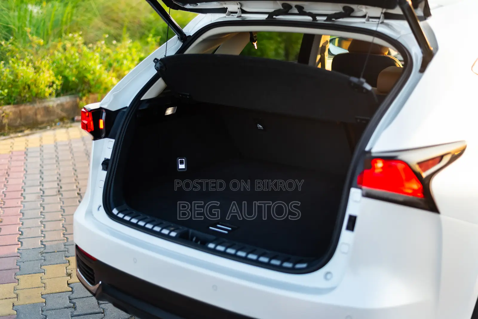Lexus NX 300h Front-Wheel Drive 2019 White