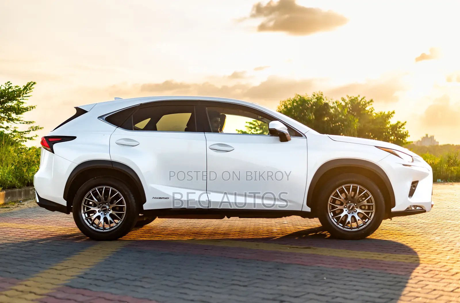 Lexus NX 300h Front-Wheel Drive 2019 White