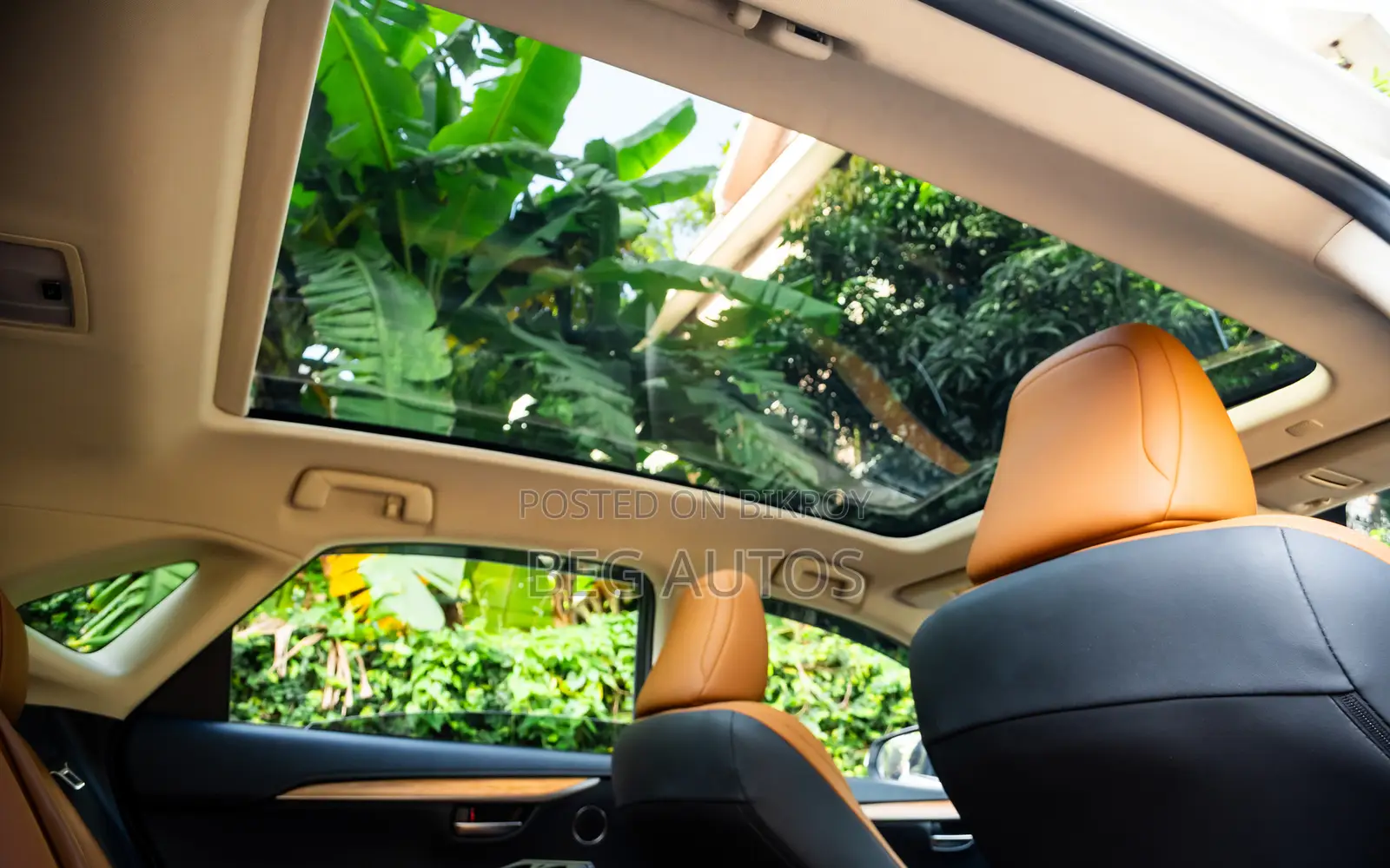 Lexus NX 300h Front-Wheel Drive 2019 White