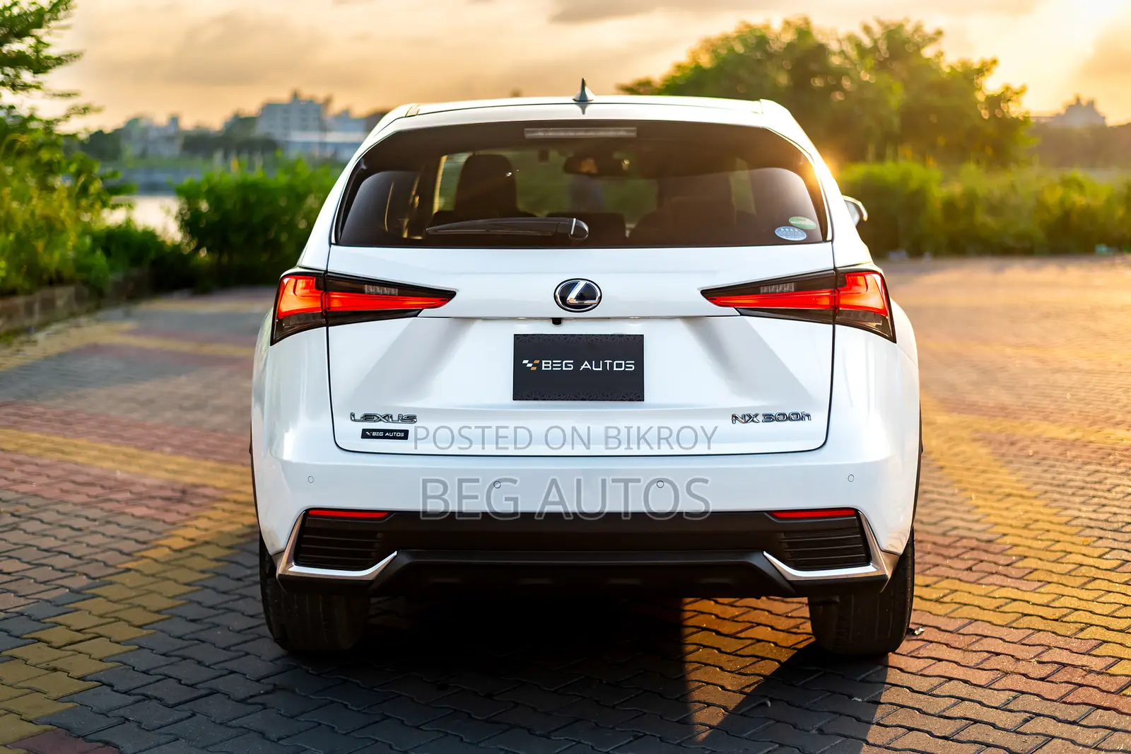 Lexus NX 300h Front-Wheel Drive 2019 White