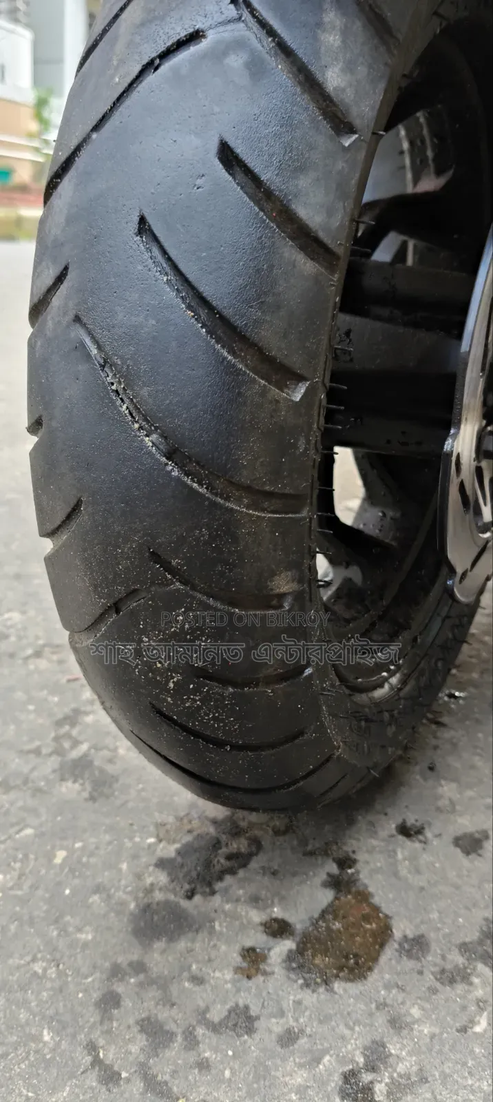 TVS Ntorq 125 2024 Blue