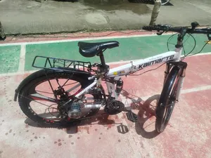 ইলেকট্রিক ফোল্ডিং সাইকেল
