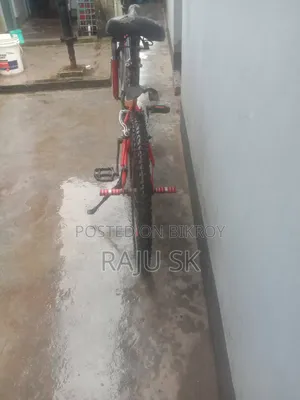 সুন্দর একটি বাইসাইকেল