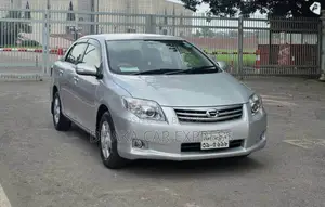 Toyota Axio 2010 Silver