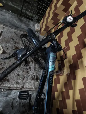 ফক্সটার অস্কার-১