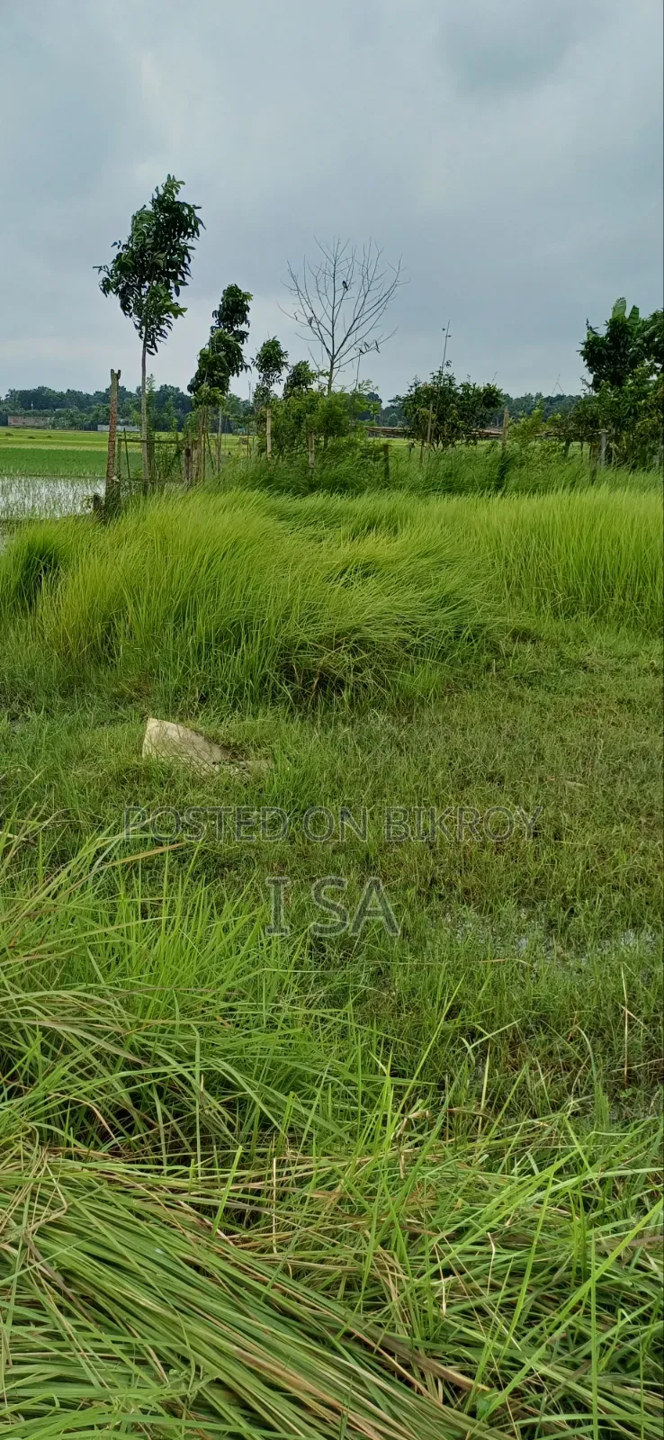 জমি বিক্রয় করতে চাই