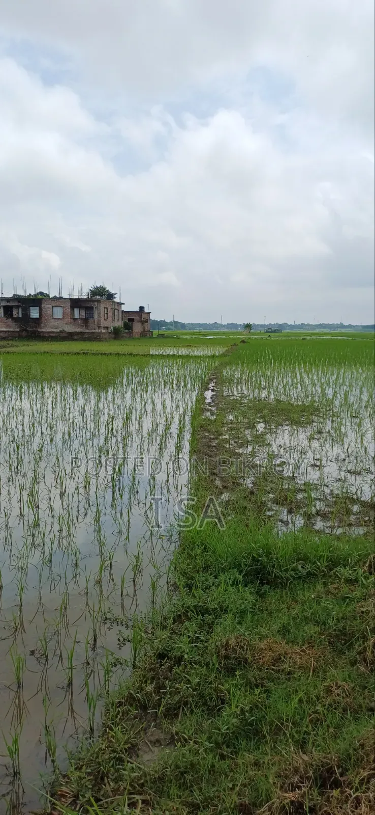 জমি বিক্রয় করতে চাই