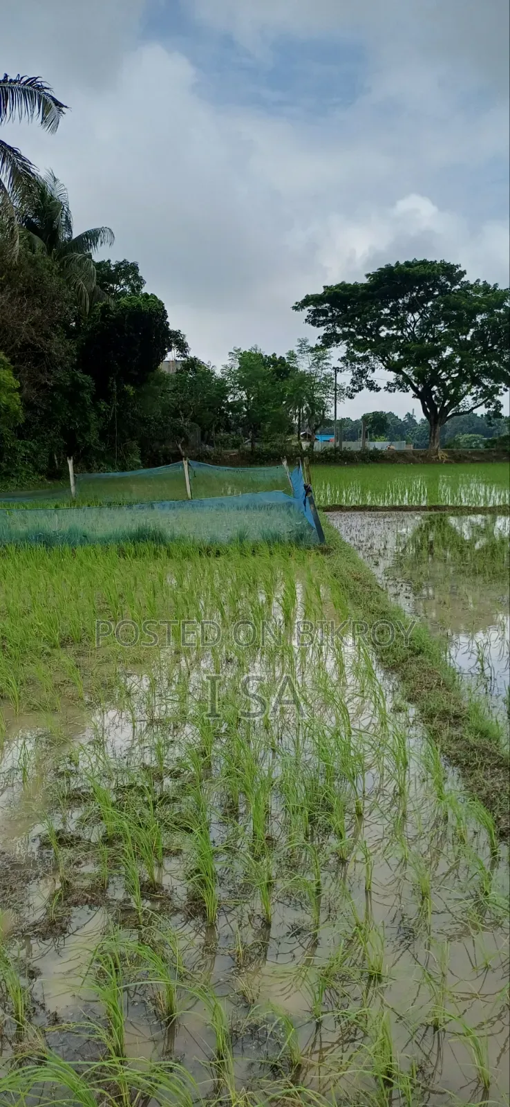 জমি বিক্রয় করতে চাই