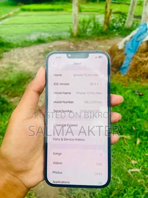 Apple iPhone 13 Pro Max 256 GB Blue