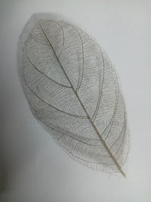 For Resin Art