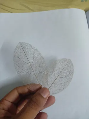 For Resin Art