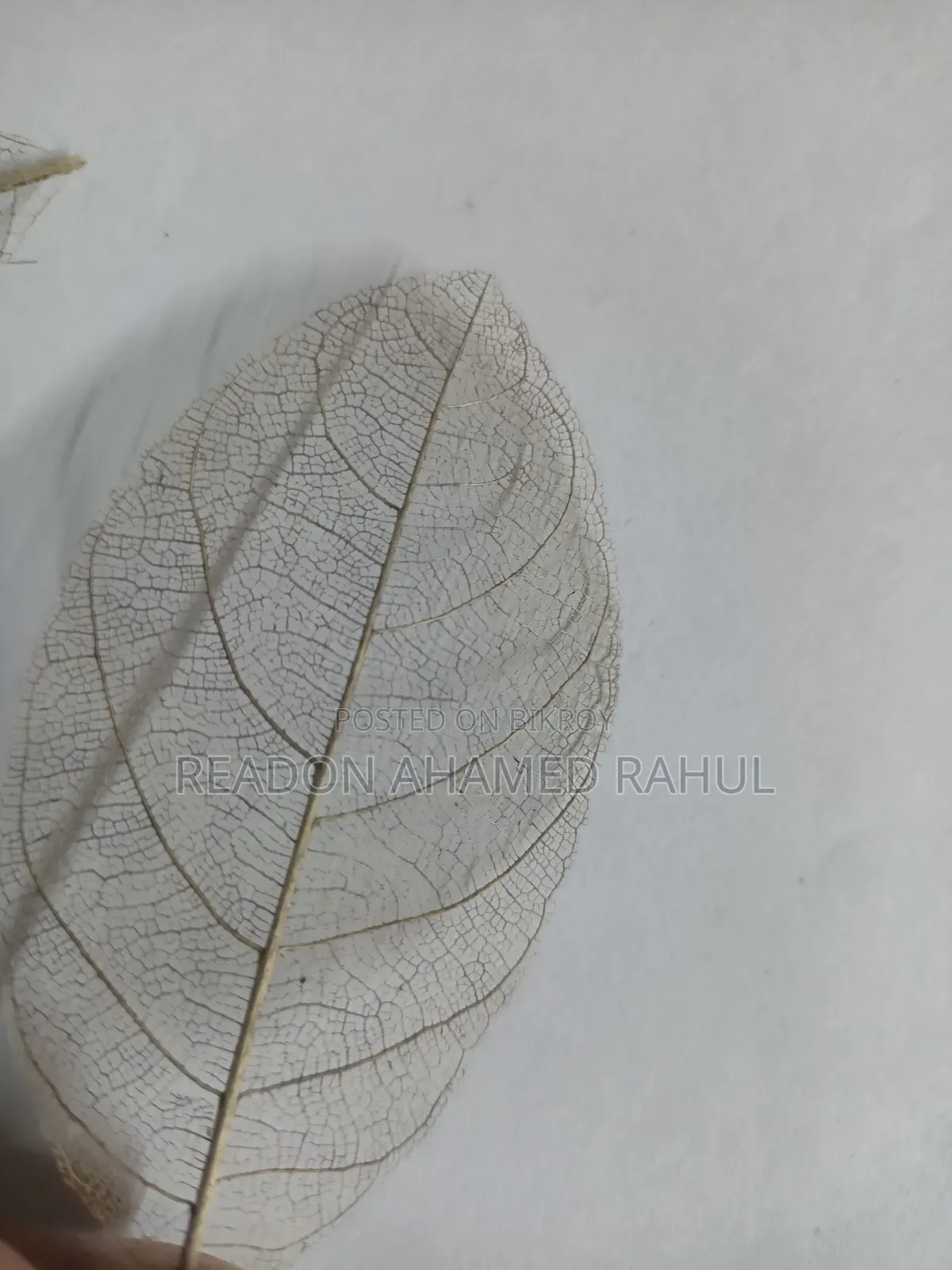 For Resin Art