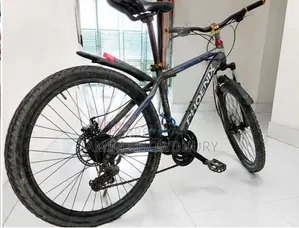 ফিনিক্স বাইসাইকেল