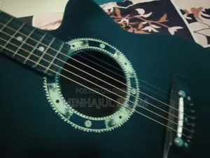 Acoustic Bangla Guitar