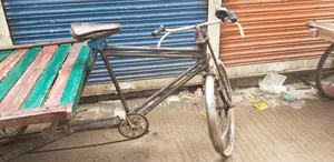 Three Wheeler