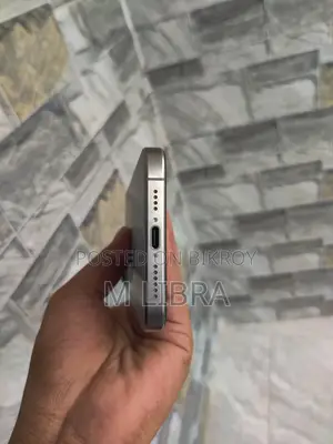 অ্যাপল আইফোন ১৫ প্রো ম্যাক্স ২৫৬ জিবি