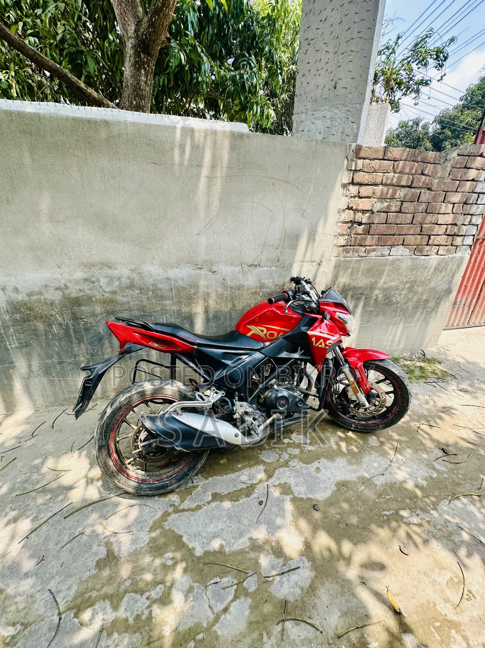 রোডমাস্টার র‍্যাপিডো ১৬৫ ২০১৮ রেড