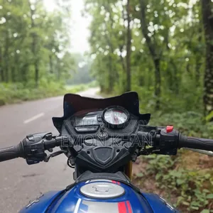 TVS Apache RTR 160 2V 2024 Blue