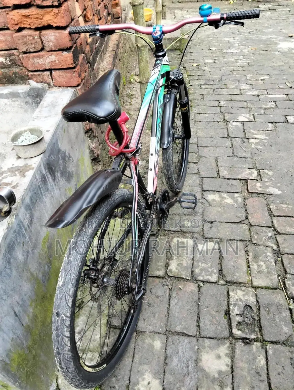 Phoenix Bicycle